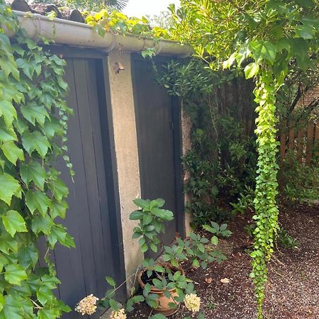 Appartement Cosy Avec Jardin Quartier Calme Tolosa Esterno foto