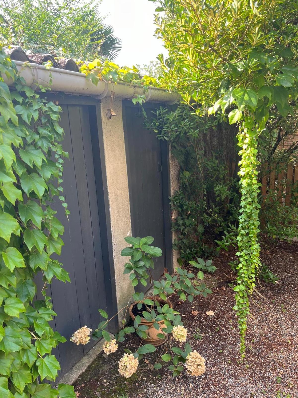 Appartement Cosy Avec Jardin Quartier Calme Tolosa Esterno foto